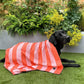 Dock & Bay Dog Towel